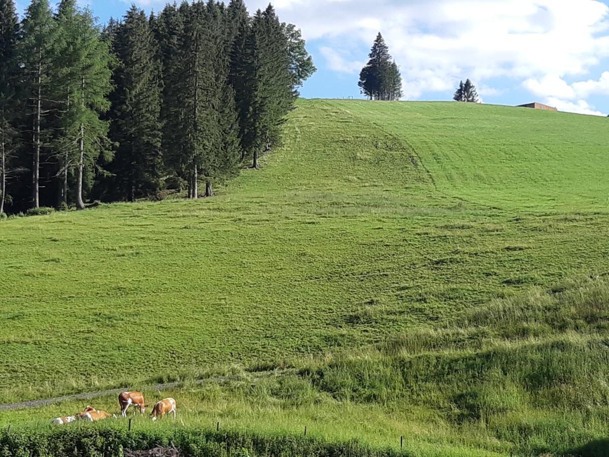 Gasthof Klug Zum Ehrensepp Modriach Dış mekan fotoğraf